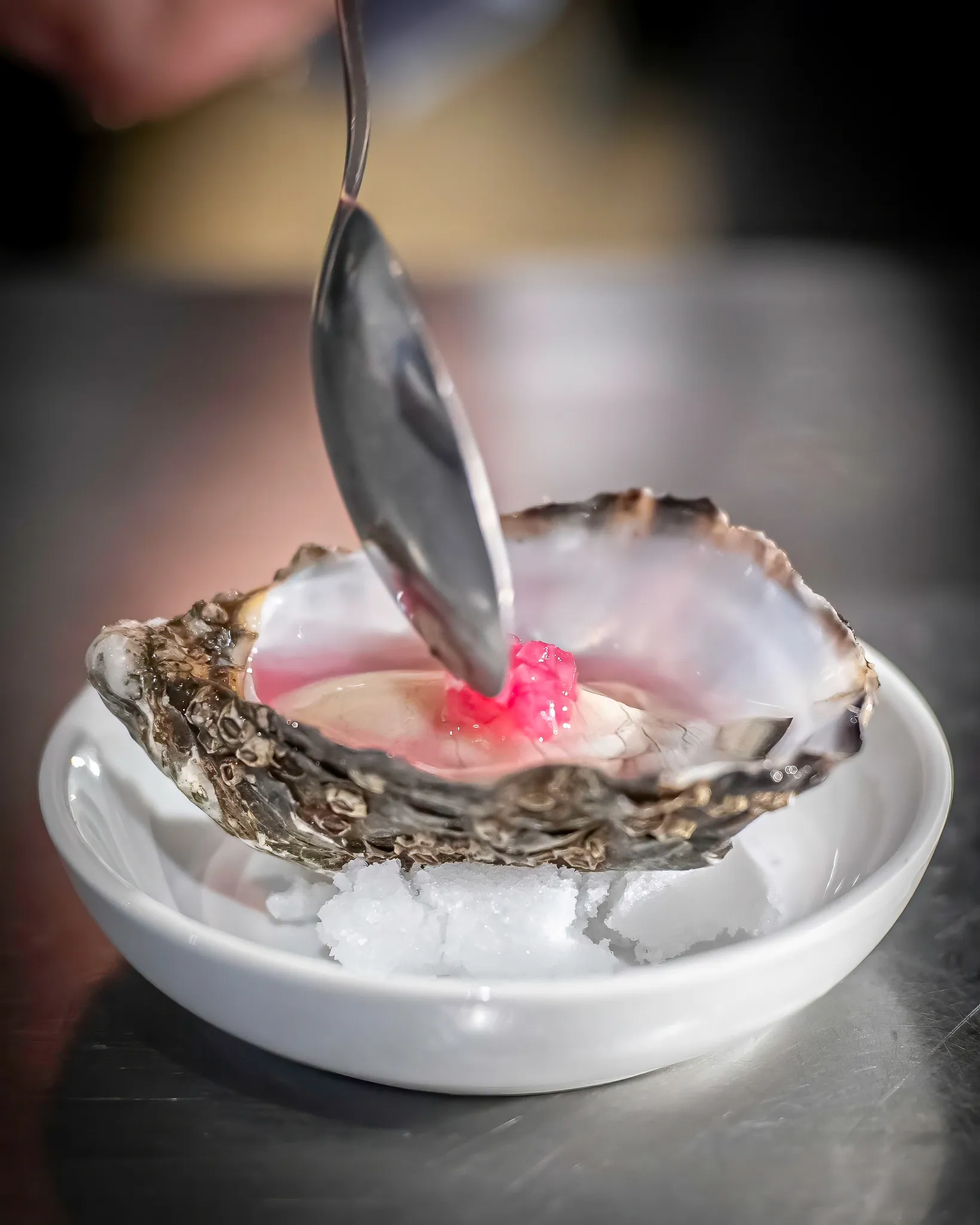 Plated dishes — 11