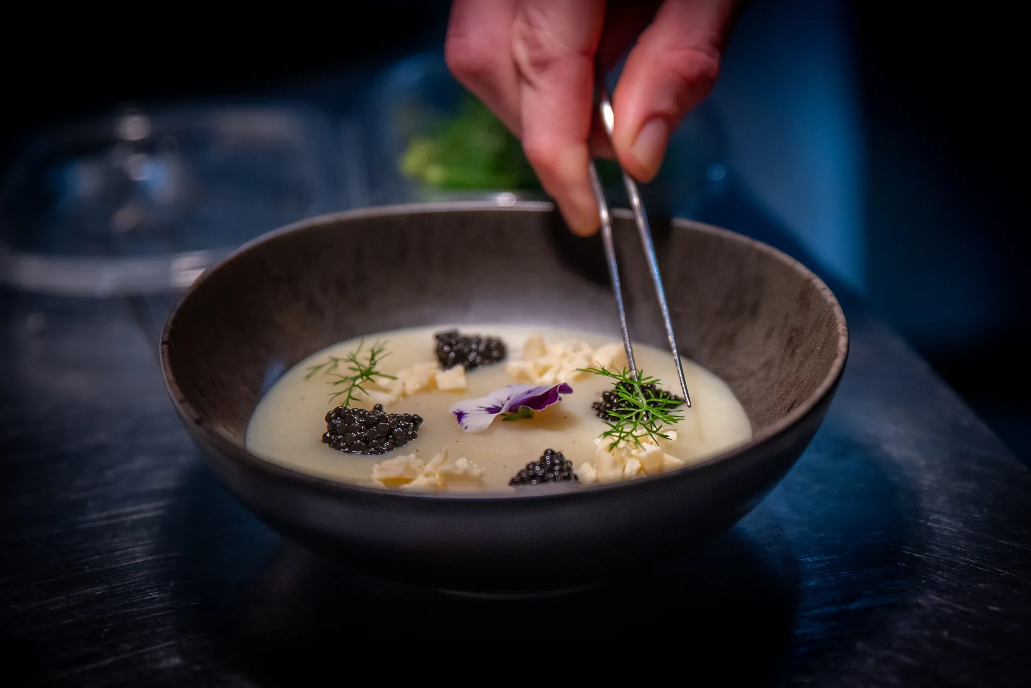 Plated dishes — 2